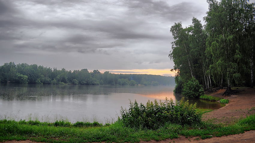 Natur, Bäume, See, Ufer, Ufer, Morgen, Überwiegend bewölkt, Bedeckt, Nessel HD-Hintergrundbild