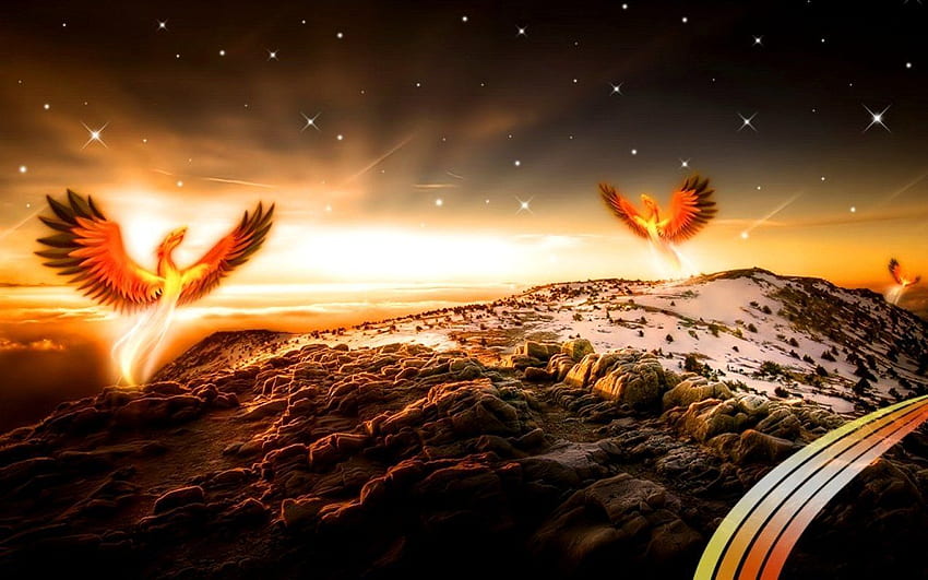 the phoenix rising from the ashes into the beautiful etheral plane of universal energies. Phoenix , Phoenix HD wallpaper