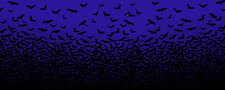 Halloween Bats, Dual Screen , Dual Monitor HD wallpaper