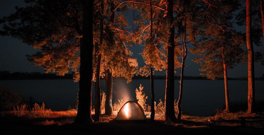 Outing campfire trees tent night background, Campfire Night HD wallpaper