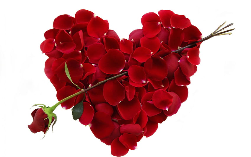 Heart of petals, roses, petals, love, red, passion, romance, heart HD wallpaper