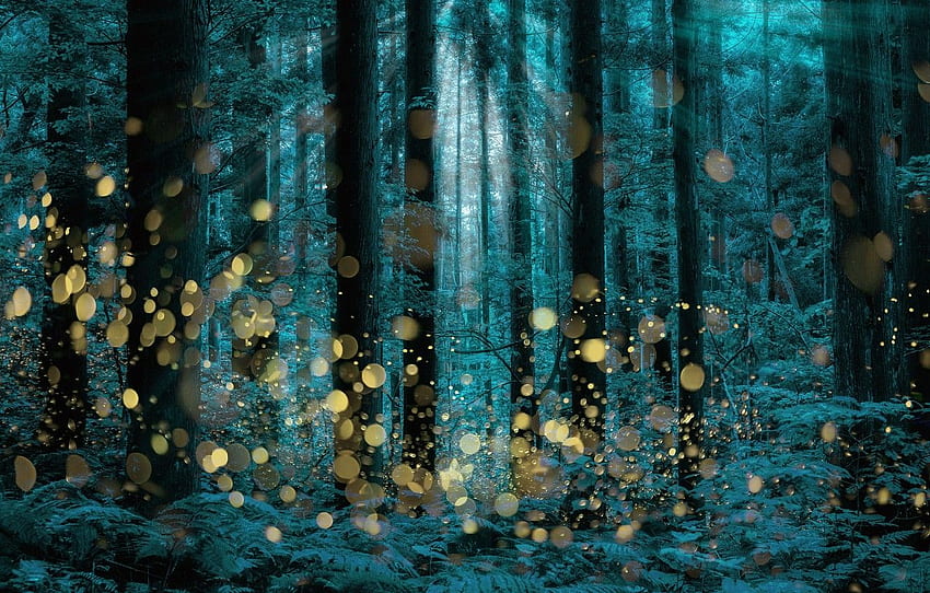 trees, firefly, longexposure HD wallpaper