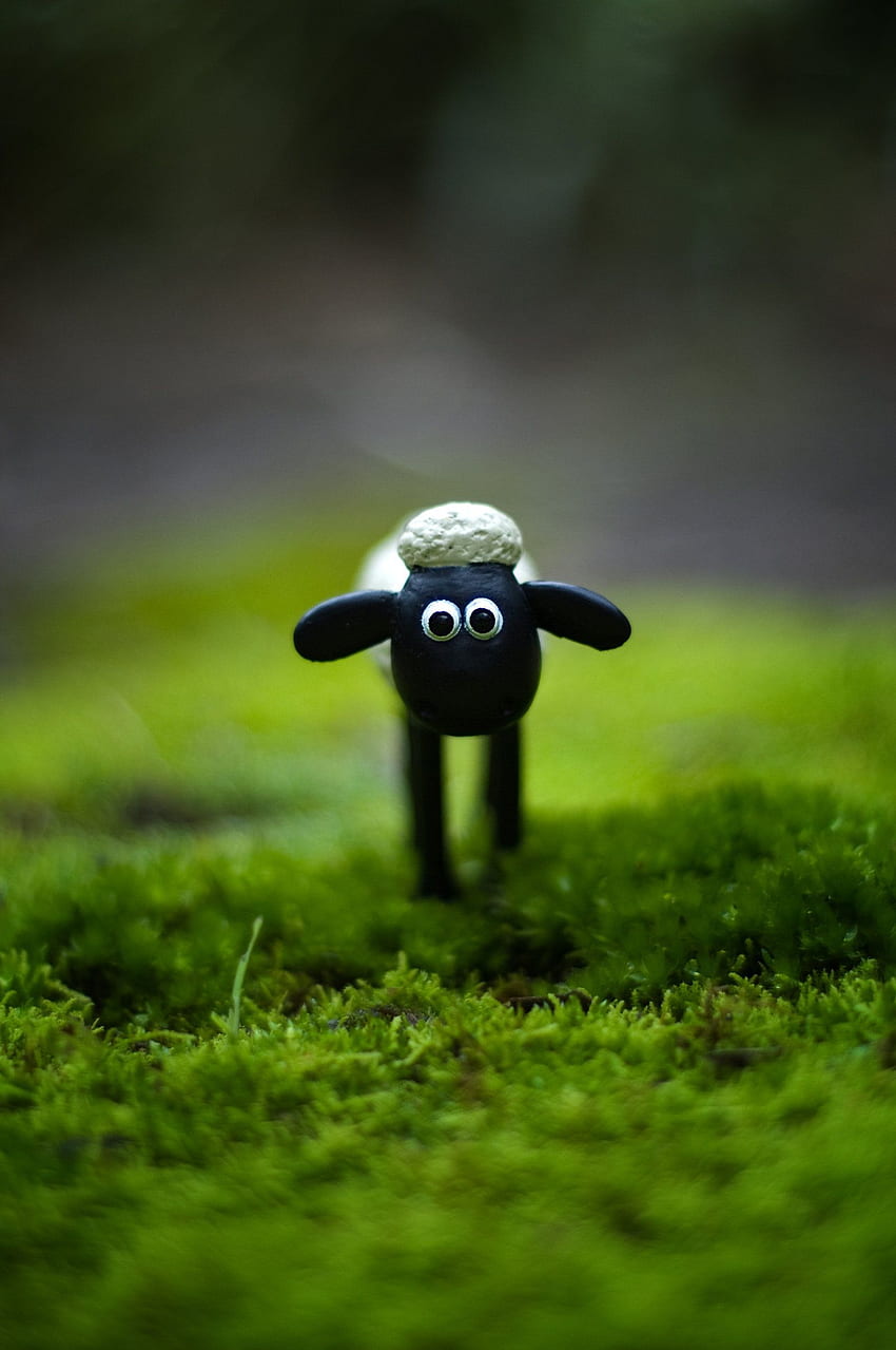 Shaun The Sheep for in 2019 HD phone wallpaper