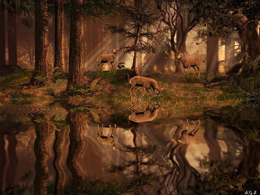 森、木、水、鹿 高画質の壁紙