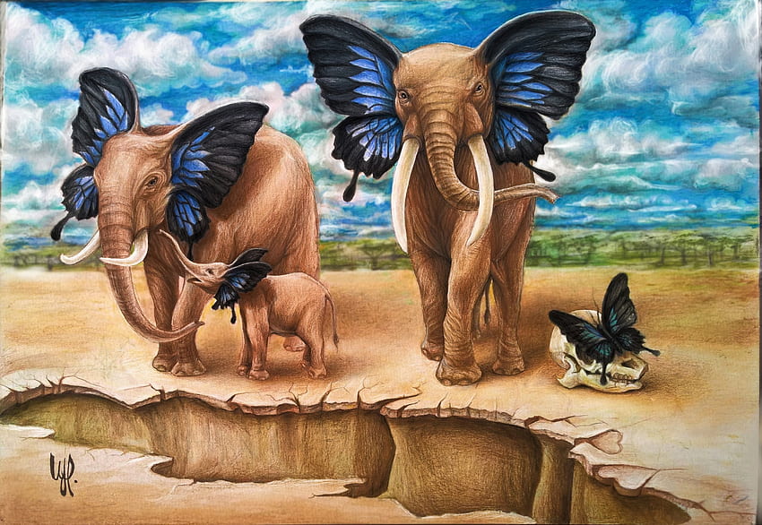 Elefantes mariposa, azul, pintura, fantasía, arte, familia, pictura, elefante, orejas fondo de pantalla