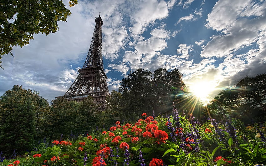 Градове, цветя, дървета, слънце, Париж, Айфелова кула HD тапет
