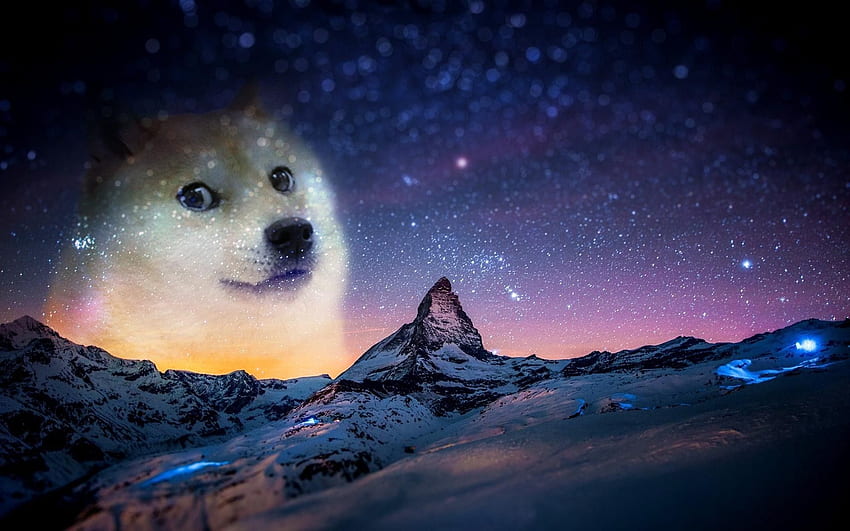Doge High Quality For 1920 x 1200 px HD wallpaper | Pxfuel