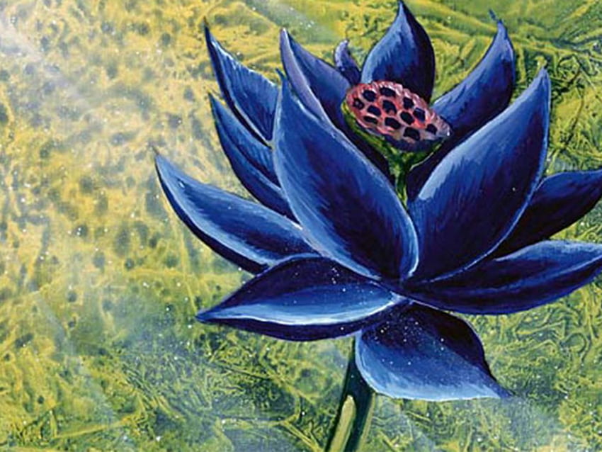 La tarjeta Magic: The Gathering Black Lotus se vende por $ 511,100 en una subasta - Polygon, Black Lotus Flower fondo de pantalla