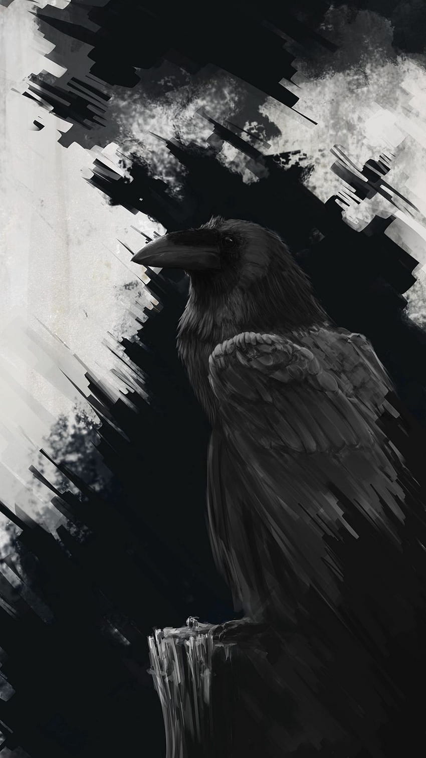 white raven wallpaper