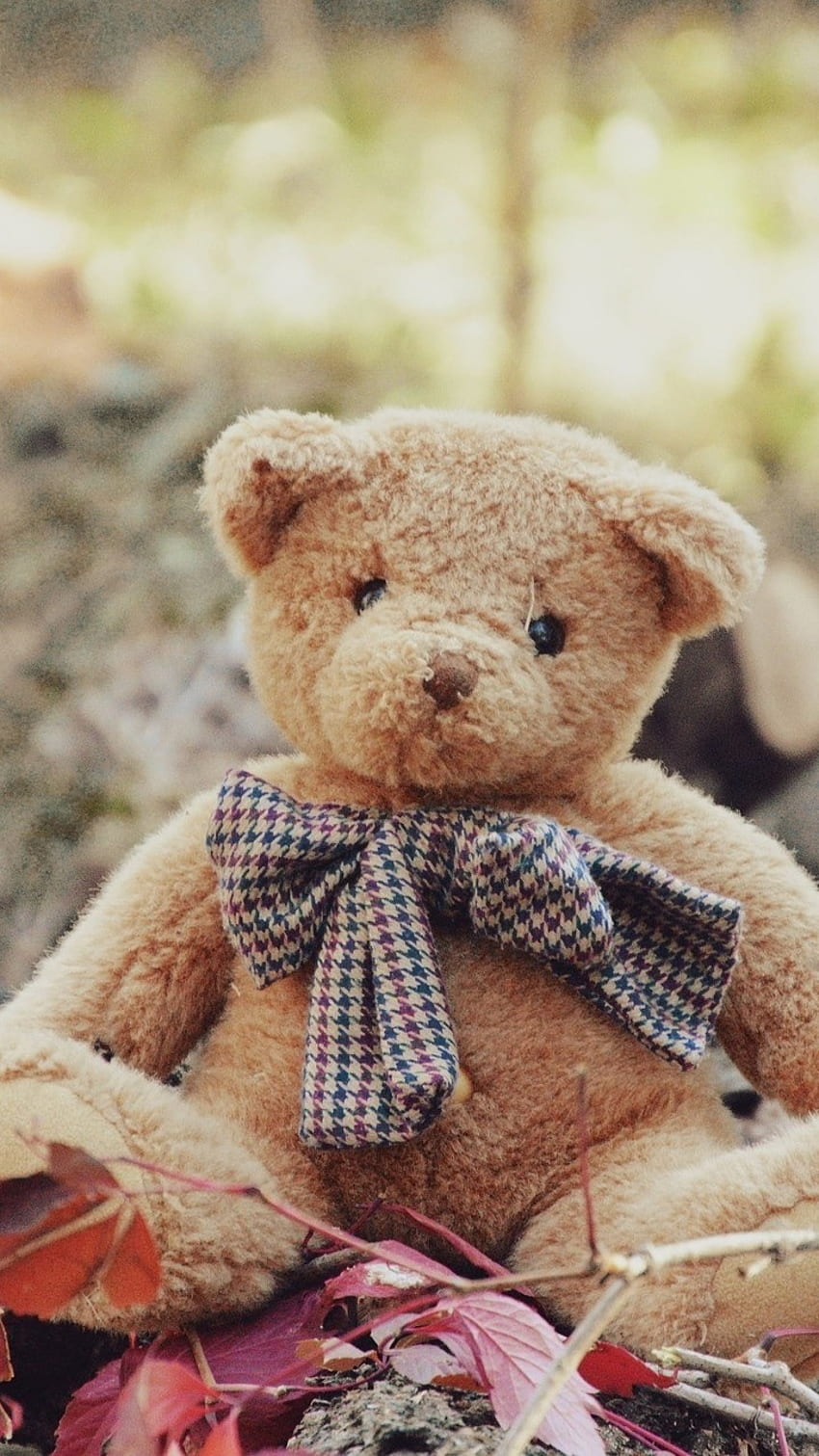 Teddy Bear Wale, Teddy Bear, Sitting HD phone wallpaper