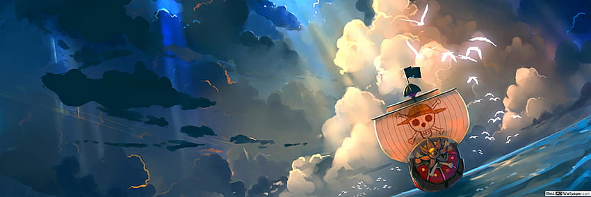 One Piece - Thousand Sunny, Flag One Piece Anime HD wallpaper