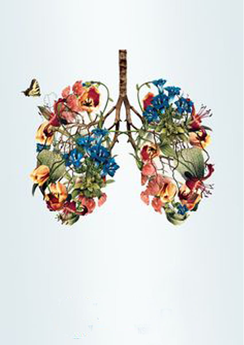Fond d'art de conception florale de décoration. Art des poumons, Dessins, Art, Art médical Fond d'écran de téléphone HD