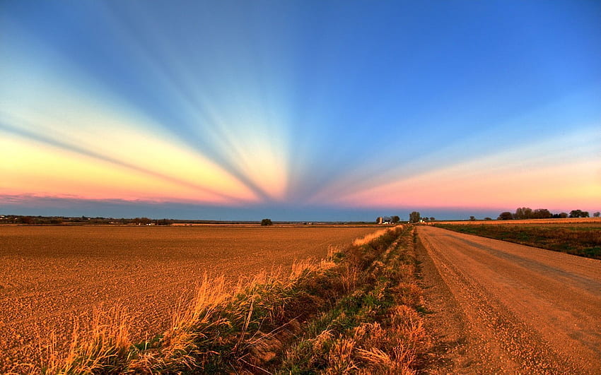 Nature, Sunset, Rays, Beams, Road, Field, Evening, Agriculture, Crops HD wallpaper