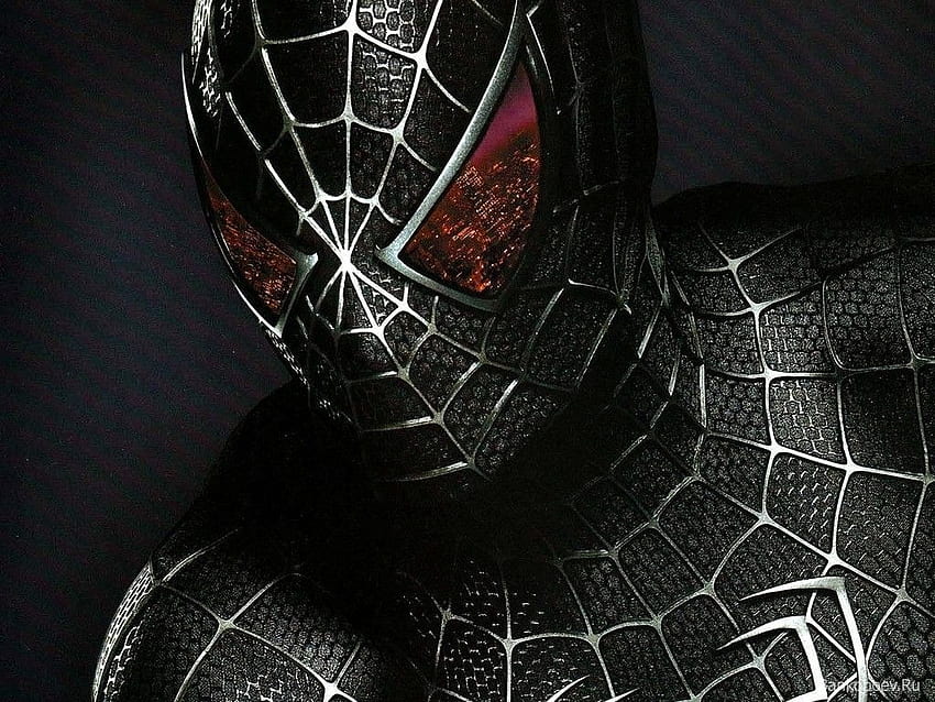 Spiderman Untuk iPhone & iPad, Spider Man Dark Wallpaper HD