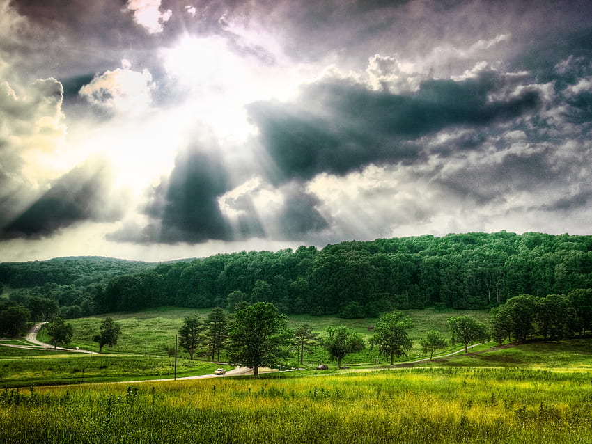 the sun's rays, rays, landscape, clouds, trees, sky, forest HD wallpaper