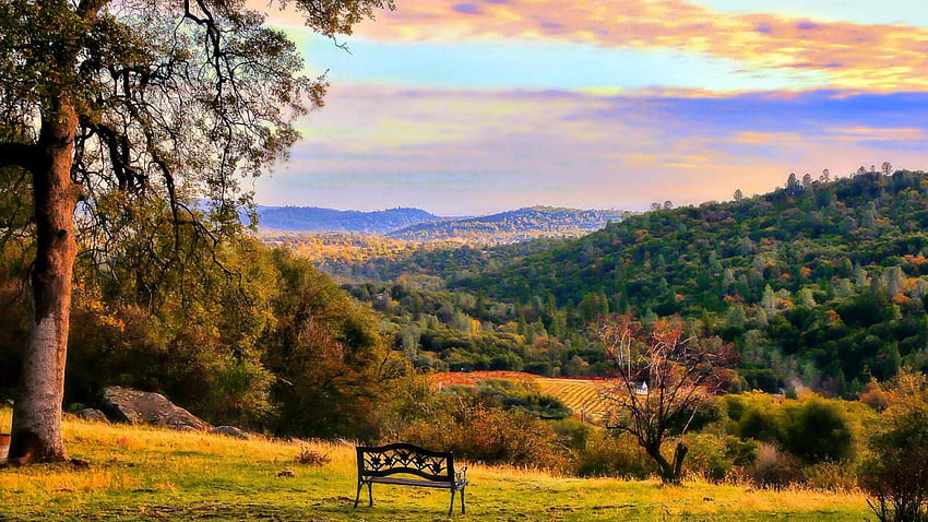 peace in the valley r, bench, hills, valley, trees, fields, farm, r HD wallpaper