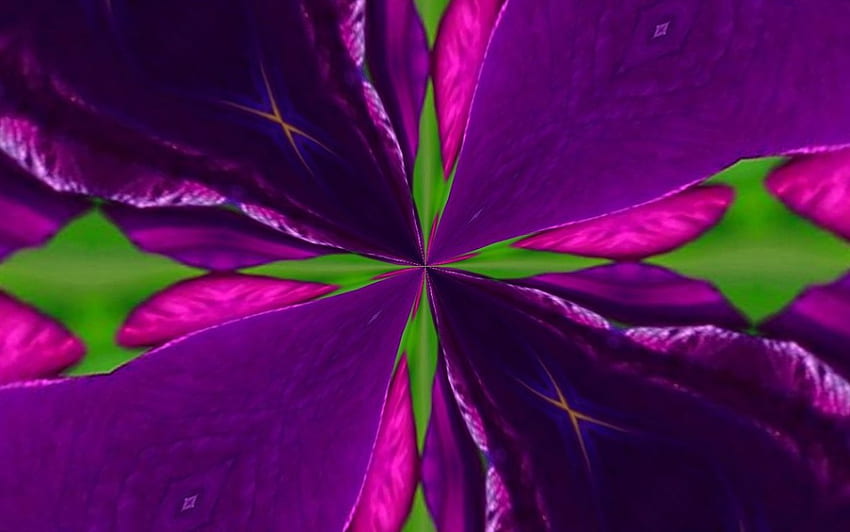 紫の花びら、花びら、紫、創造、抽象 高画質の壁紙