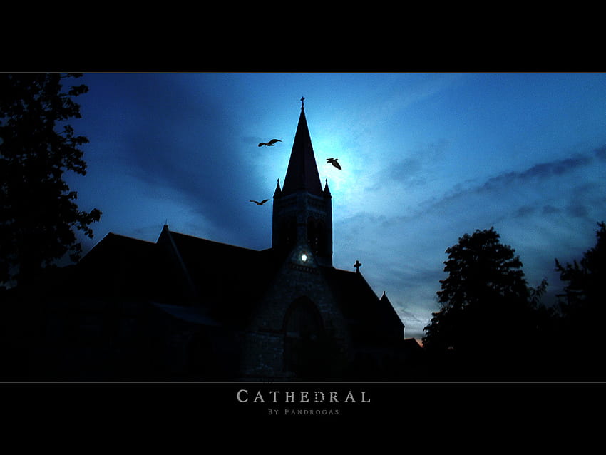 Dark Dank Cathedral, night, clouds, trees, mysterious, damp, sun HD wallpaper