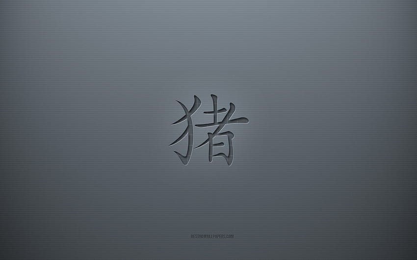 Schwein-Kanji-Symbol, grauer kreativer Hintergrund, japanisches Zeichen des Schweins, japanische Hieroglyphen, Schwein, Kanji, japanisches Symbol für Schwein, graue Papierstruktur, Schwein-Hieroglyphe HD-Hintergrundbild