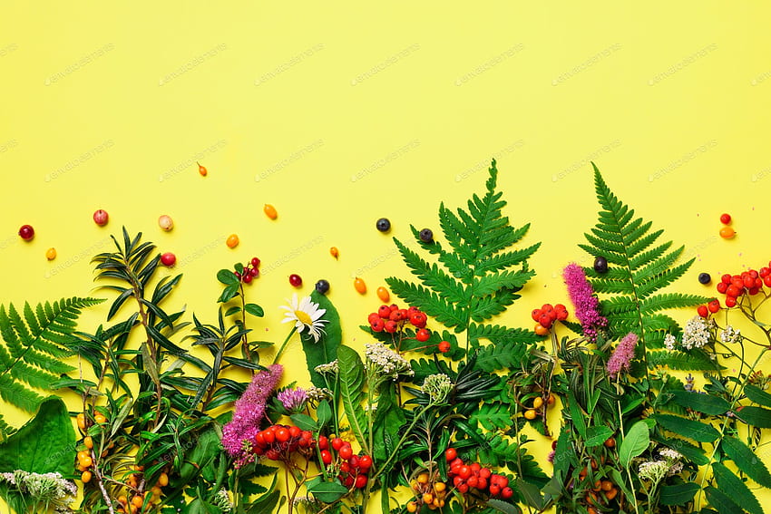 Inhaltsstoffe der pflanzlichen Alternativmedizin, ganzheitlicher und naturheilkundlicher Ansatz auf gelbem Hintergrund von jchizhe auf Envato Elements HD-Hintergrundbild