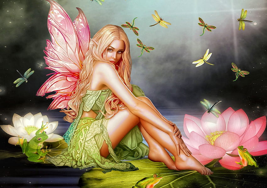 Dragonfly, fairy, digital, art, fantasy, , flowers, girl, woman, beautiful HD wallpaper