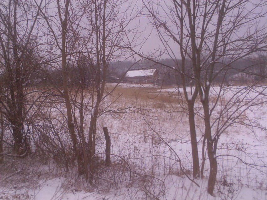 Grange en hiver, hiver, grange, blanc, champ, neige, arbres Fond d'écran HD