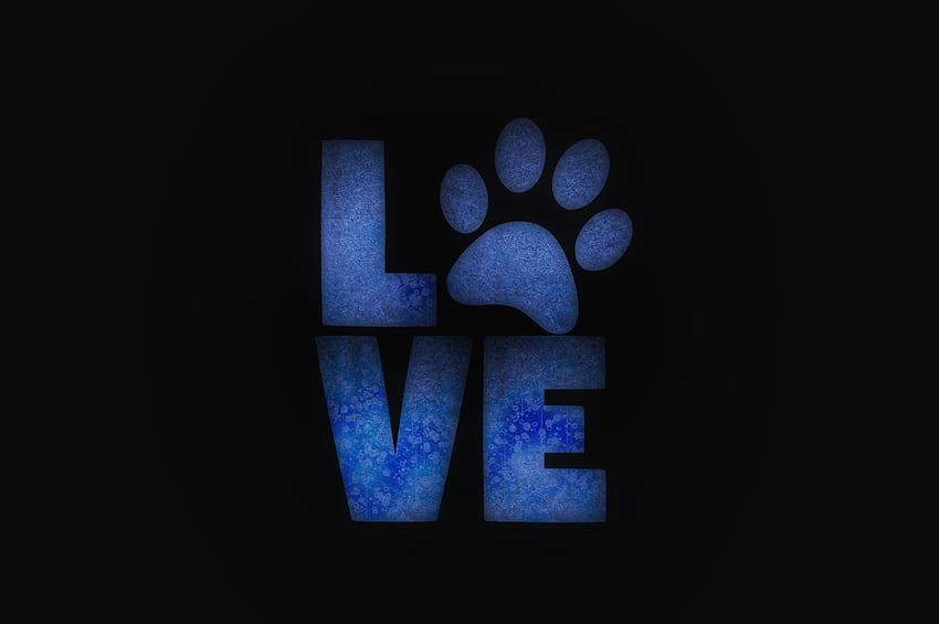 Animals, Love, Words, Care, Paw HD wallpaper