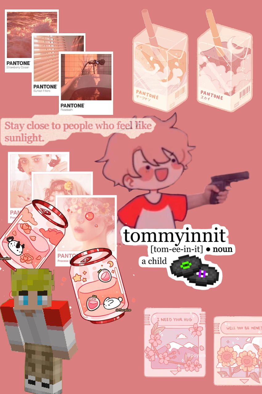 Pin on tommyinnit <3