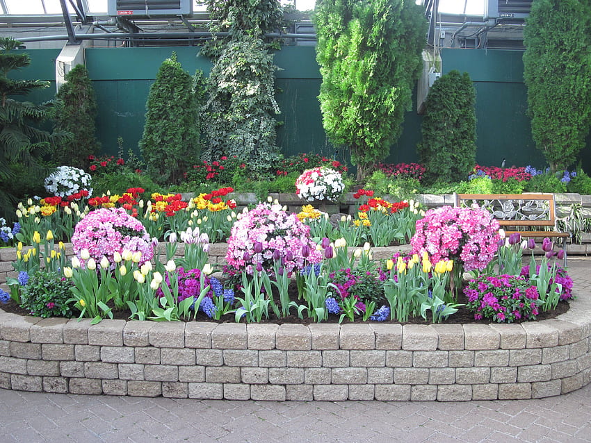 I tulipani sono in fiore primaverile 05, graphy, tulipani, giallo, verde, alberi, fiori, rosa, giardino Sfondo HD