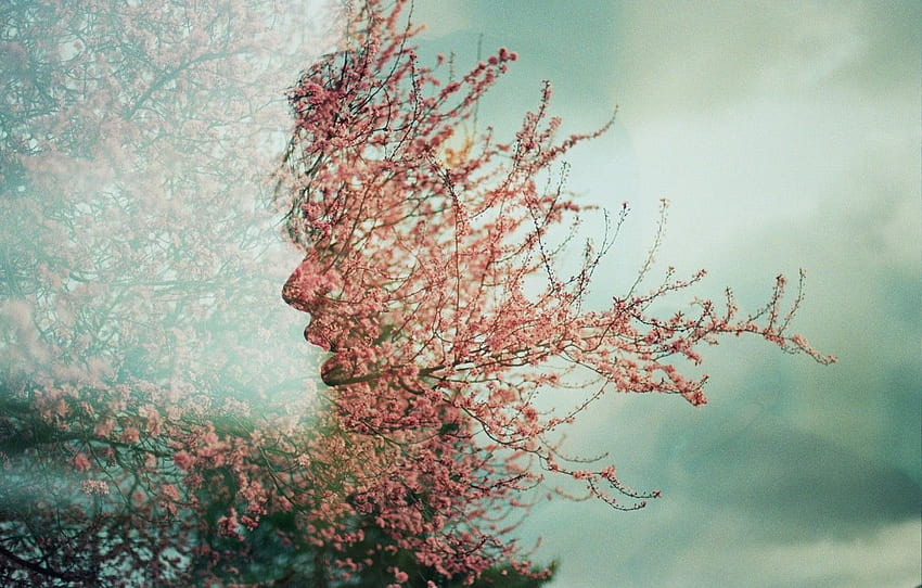 face, tree, spring, flowers, Úna, double exposure, double exposure for , section абстракции HD wallpaper