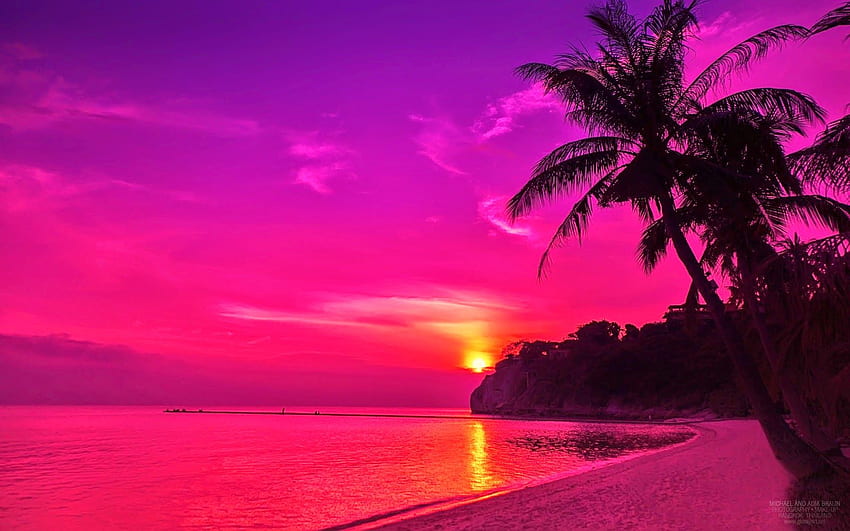 Pink Beach Sunset, Pink Tropical HD тапет