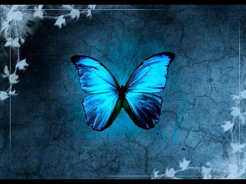 Пеперуди Луксозна синя пеперуда за вас - отляво на Хъдсън HD тапет