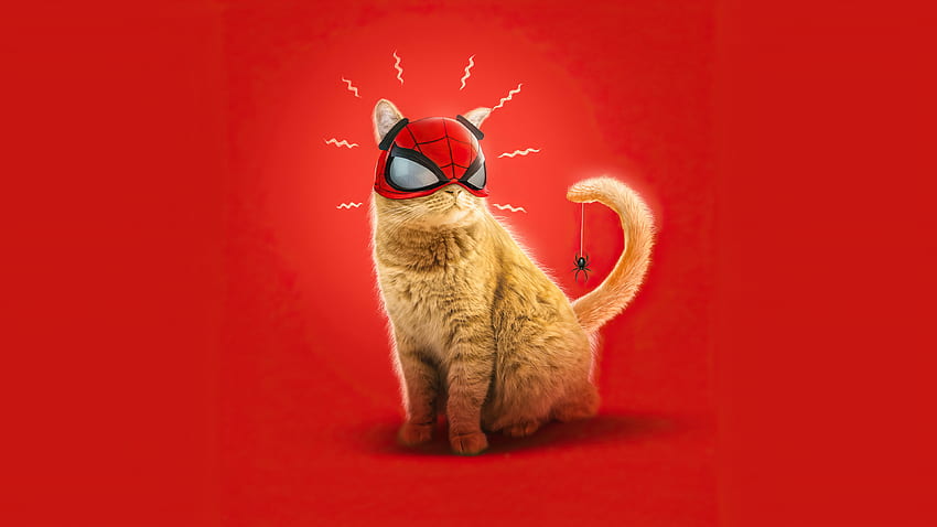 Kedi Maskesi Kırmızı Örümcek Örümcek Kedi Örümcek Adam Miles Morales Marvel's Spider-Man Miles Morales HD duvar kağıdı