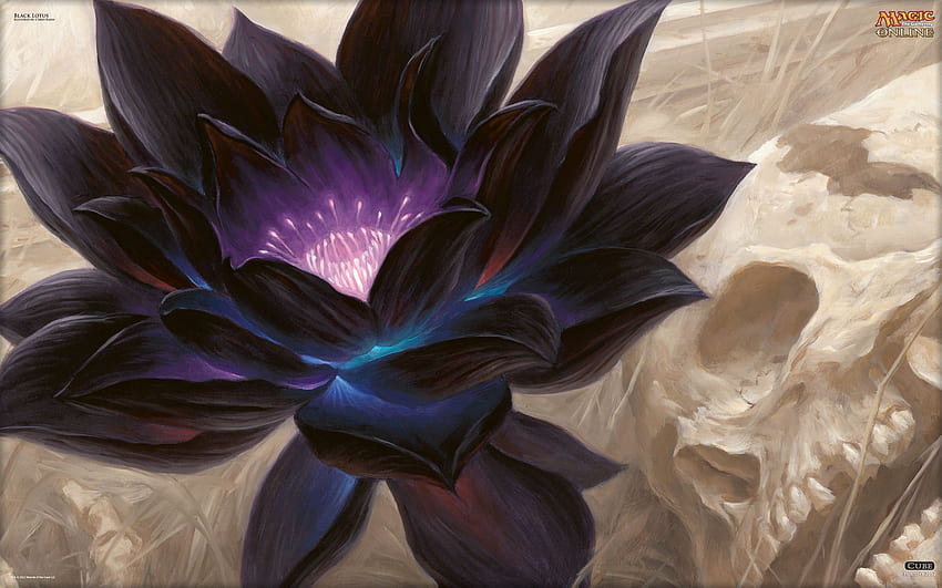 of the Day: Black Lotus. MAGIC: THE GATHERING HD wallpaper
