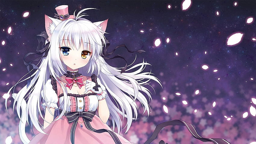 anime, Gadis Anime, Gadis Kucing, Heterochromia, Nekomimi, Asli, Gadis Neko Kawaii Wallpaper HD