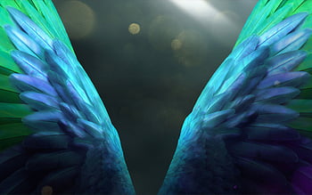 Angel wings nature rush HD wallpapers | Pxfuel