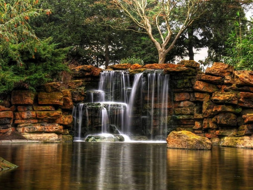 waterfalls in stone, paradise, nature, seagull, beauty HD wallpaper