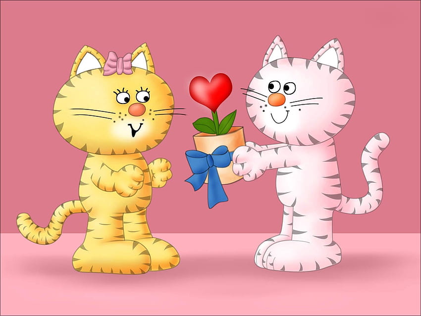 Cats, Love, Present, Gift, Lovers HD wallpaper