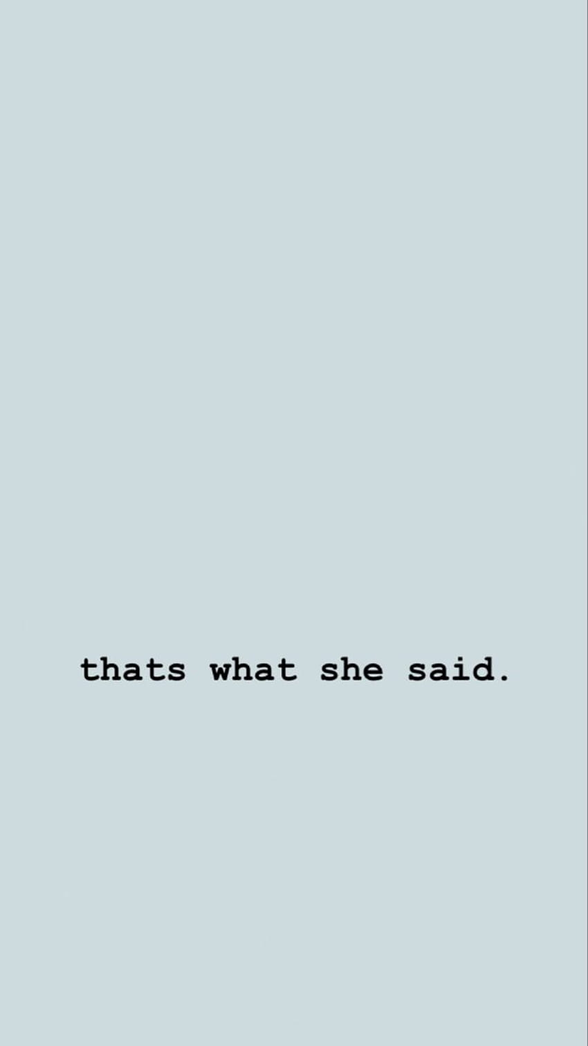Thats What She Said The Office. Phone Lock Screen , Funny Phone , That's What She Said, Girly Office HD phone wallpaper