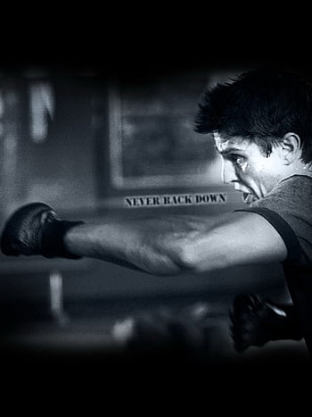 Never back down HD wallpapers  Pxfuel