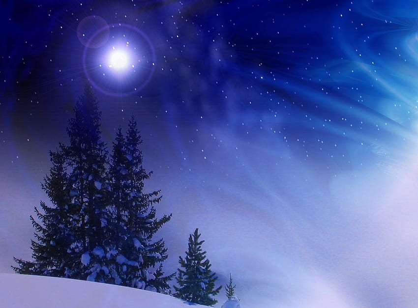 Feiertage, Winter, Schnee, Tannen, Schneesturm, Mitternacht HD-Hintergrundbild