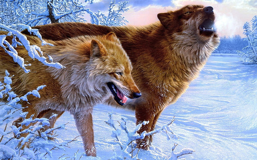 Wolves, lup, wolf, winter, frumusete, art, gorgeous, superb, painting, snow, iarna, pictura, couple, luminos HD wallpaper