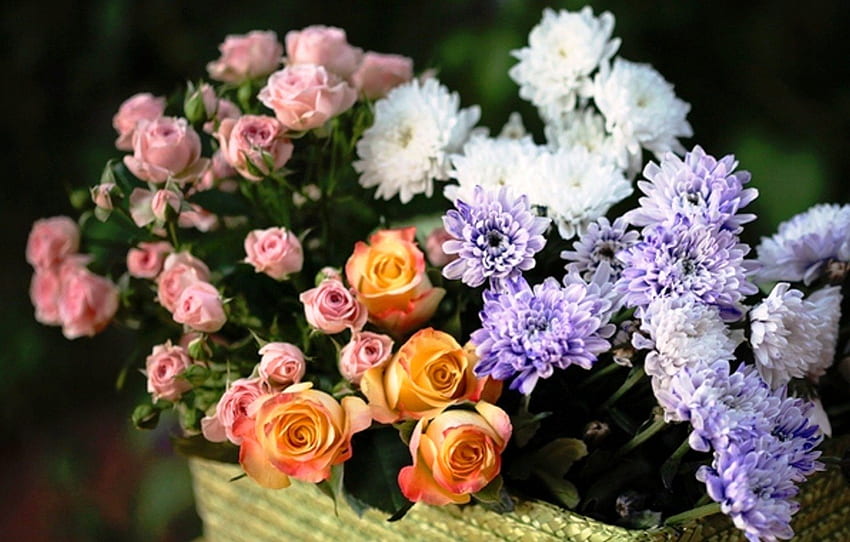 ดอกไม้สวย ธรรมชาติ ดอกกุหลาบ ดอกไม้ สวย ความงาม ตะกร้า สีม่วง ชีวิตยังคง ชมพู ความสด สีเหลือง ธรรมชาติ ดอกไม้ ดอกเบญจมาศ วอลล์เปเปอร์ HD