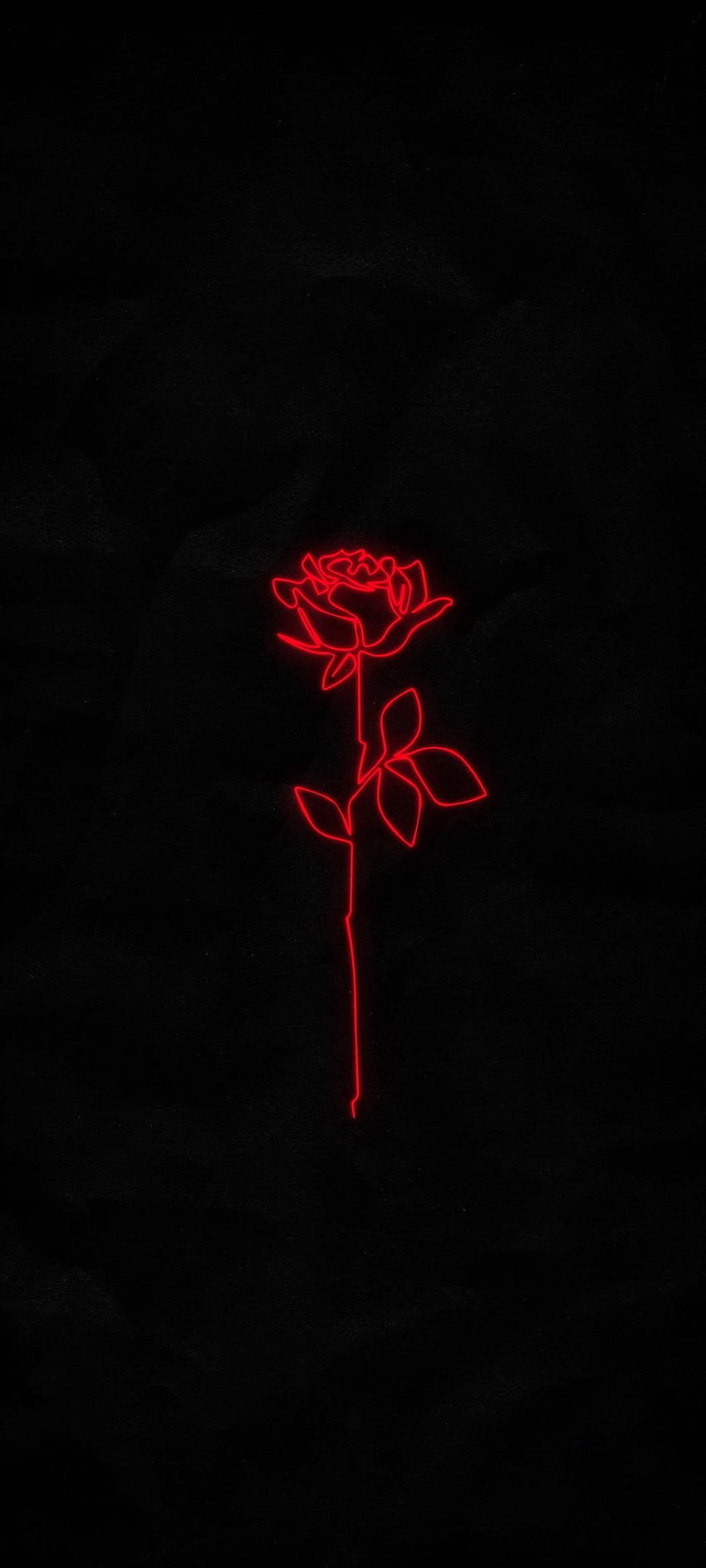 Red Design Rose Black Phone – Santai, Dinginkan Hitam wallpaper ponsel HD