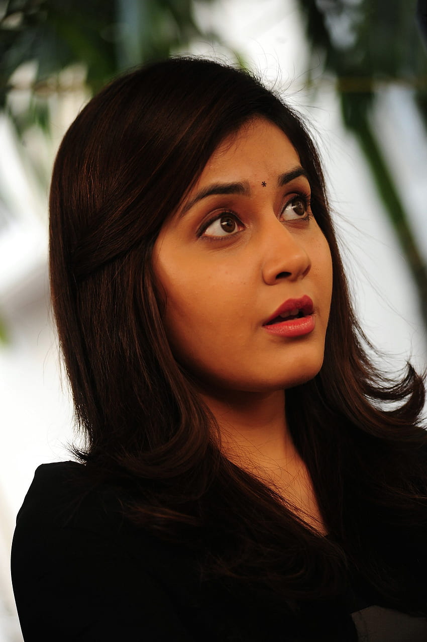 Rashi khanna, Telugu actress, beautiful, model HD phone wallpaper