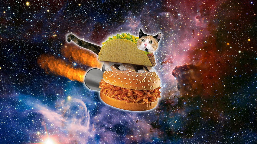 Res: , Space Cat Mobile. Cat , Space cat, Taco cat, Amazing Cat Galaxy HD wallpaper