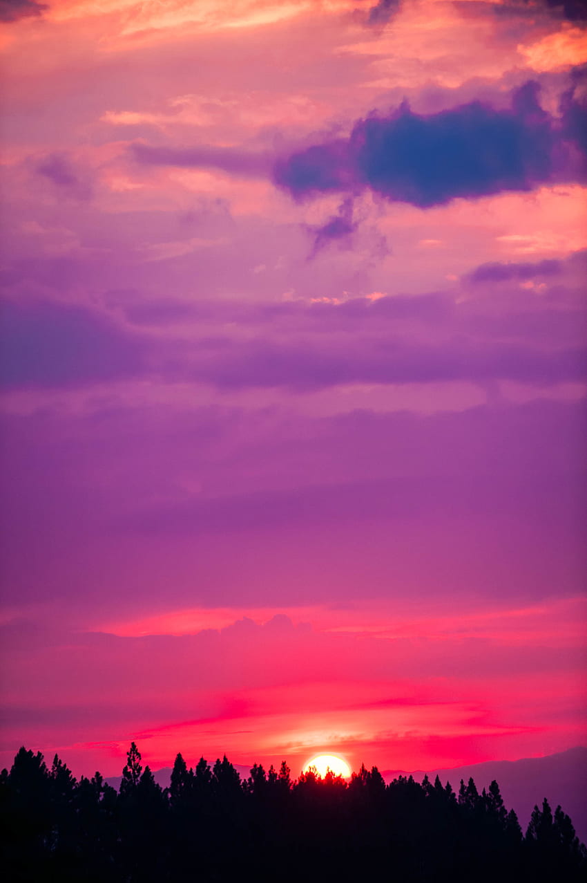 Natur, Bäume, Sonnenuntergang, Himmel, Sonne, Rosa HD-Handy-Hintergrundbild