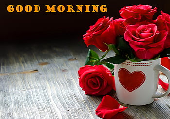 Download Good morning Wallpaper by rosemaria4111  5b  Free on ZEDGE now  Browse millions   Good morning roses Good morning rose images Good  morning wallpaper