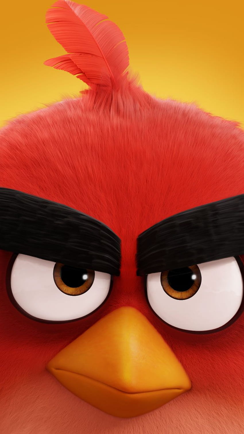21+] Angry Birds Movie Red Wallpapers - WallpaperSafari