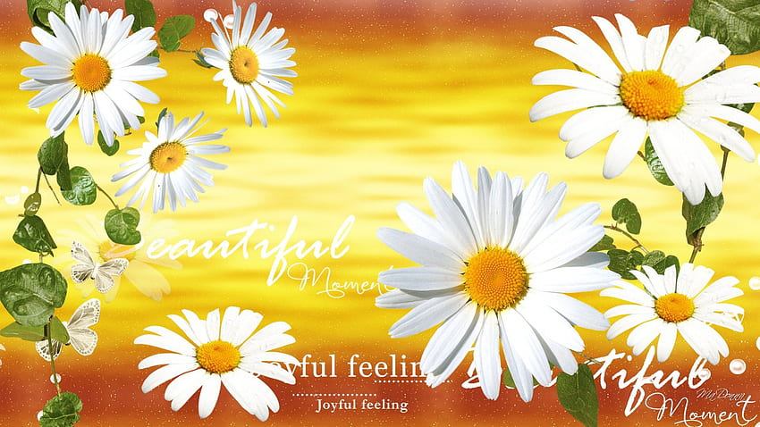 A Beautiful Moment, sunshine, chamomile, gold, spring, daisies, summer, waves, daisy, yellow, flowers, happy HD wallpaper
